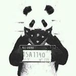 Profile Picture of Michael Foulkes (@foulkesmichael) on Instagram