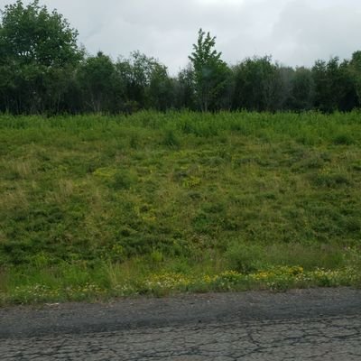 Profile Picture of Steve Hennessey (@hennessey27) on Twitter