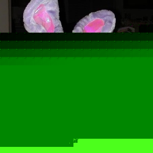 Profile Picture of Erin Hitt (@erinannotated) on Myspace