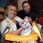 Profile Picture of Sandy Grace McElroy (@sandys_feathered_friends) on Instagram