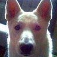 Profile Picture of David Baum (@david-baum-81) on Quora
