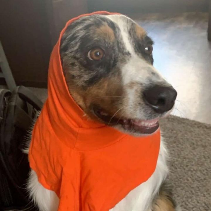 Profile Picture of Kenneth McMahan (@kennymagnum) on Tiktok