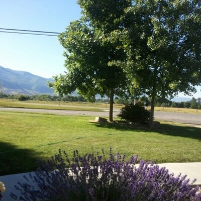 Profile Picture of Tim Freeland (@freeland_tim) on Twitter