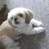 Profile Picture of Connie Tompkins25 (@@user7110814764603) on Tiktok