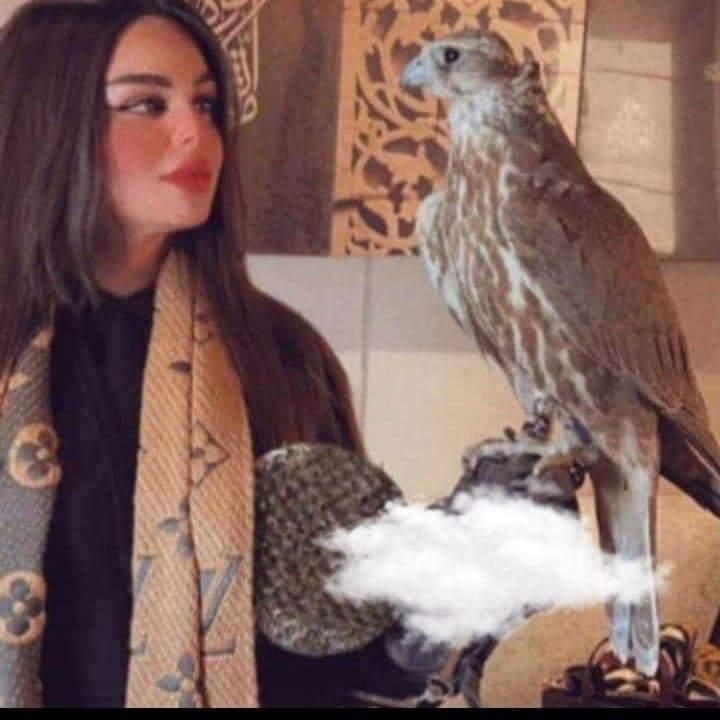 Profile Picture of KimberlySharp (@artroyvsium) on Tiktok