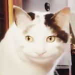 Profile Picture of Isaac Walsh (@c_ookies_n_cream) on Instagram