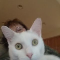 Profile Picture of nancynowicki3 (@nancynowicki3) on Tiktok