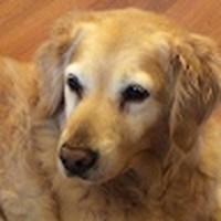Profile Picture of Gerald Doherty (@gerald-doherty-9) on Quora