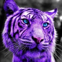 Kevin Damian - Quora Profile Picture of Kevin Damian (@kevin-damian) on Quora