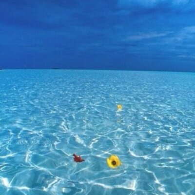 Profile Picture of Steve Breaud (@stevejobro) on Twitter