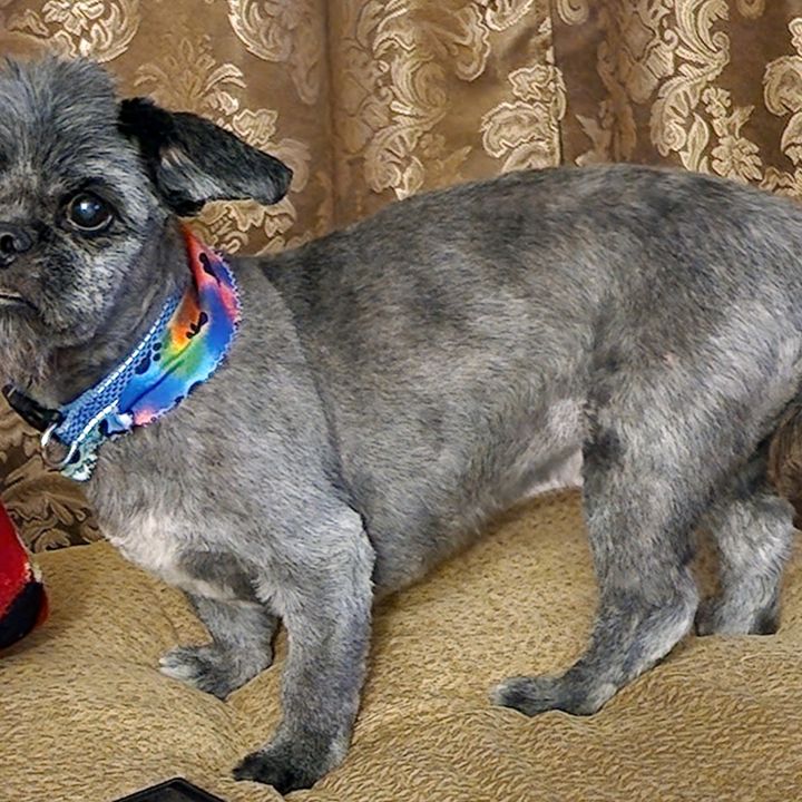 Kara Jacoby21 - Tiktok Profile Picture of Kara Jacoby21 (@karajacoby21) on Tiktok