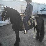 Profile Picture of Cesar Garcia Olvera (@cesargarciaolvera) on Instagram