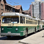 Profile Picture of #amorim (@american bus pics) on Flickr