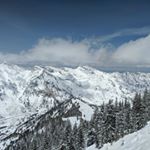 wren scott - Instagram Profile Picture of wren scott (@wrenscott12) on Instagram