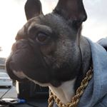 Profile Picture of George P.  