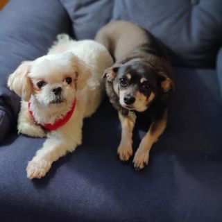 Profile Picture of John M Parmarter (@john.parmarter) on Facebook