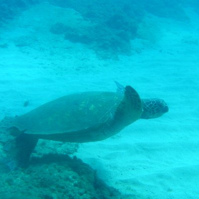 Profile Picture of Scott Farnum (@Roxtogo) on Twitter