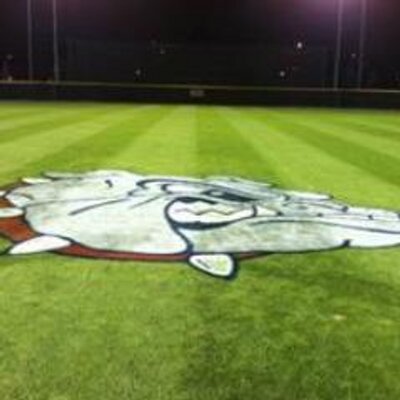 Profile Picture of Sam Hess (@hesser1905) on Twitter