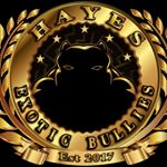 Profile Picture of Byron Hayes (@hayes_byron) on Instagram