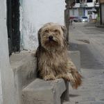 Profile Picture of jeremygehring84 (@jeremygehring84) on Instagram