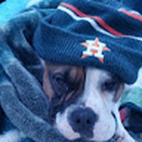Profile Picture of Dominic Castillo (@dominic-castillo-51) on Quora