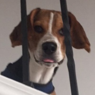 Profile Picture of Eric Alexander Sweet (@Eric_Sweet12) on Twitter