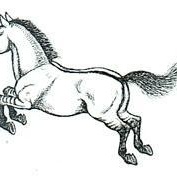 Profile Picture of Shelly Trahan (@267679707) on Myspace