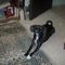 Profile Picture of Bernice Dupre (@bernice.dupre.5) on Facebook