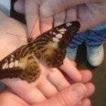 Profile Picture of Loretta Picco (@loretta.picco) on Instagram