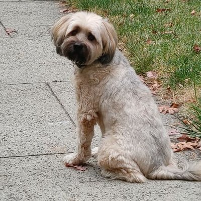 Profile Picture of Glenn Brack (@Bosgear) on Twitter