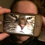Profile Picture of Benji Reeves (@benjaminreeves_) on Instagram