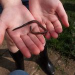 Profile Picture of Keith Beef Trunk (@keithbeeftrunk) on Instagram