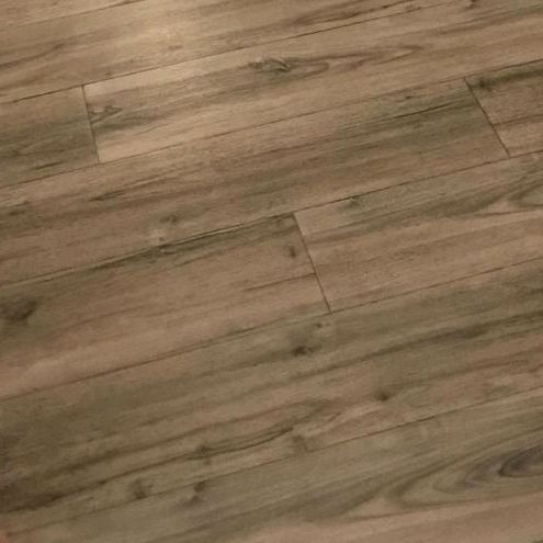 Profile Picture of David Roth (@@davidroth) on Tiktok