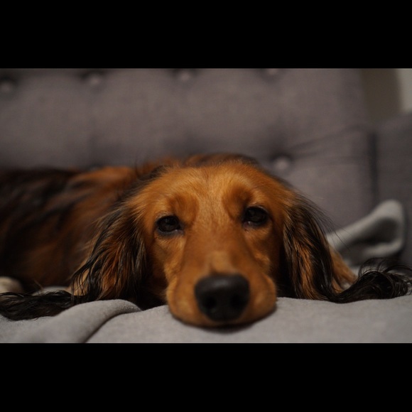 Profile Picture of Patrick Gardner (@pmgardner2) on Poshmark