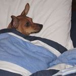 Profile Picture of Judy Moore (@hotredcookie) on Instagram