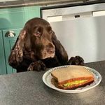 Profile Picture of Rick Hoberg (@rickhoberg) on Instagram