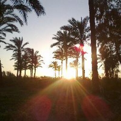 Profile Picture of Omar Eid (@omareid58092241) on Twitter