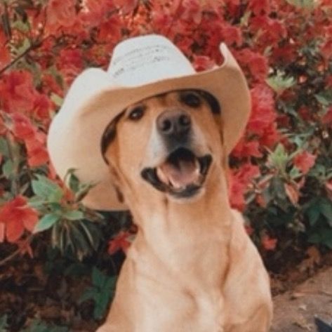 Profile Picture of Chance Crawford (@heytakeachance) on Tiktok