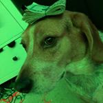 Profile Picture of Edward Robbins (@edward__timothytube) on Instagram