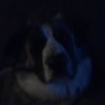 Profile Picture of Hailey Brickert (@hbrickert) on Instagram