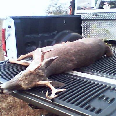 Profile Picture of William Kerley (@kkcrss8) on Twitter