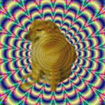 Profile Picture of David Or Chems (@chemsmemepage.v1) on Instagram