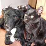 Lynn Lennon - Instagram Profile Picture of Lynn Lennon (@lynn.l.11) on Instagram