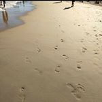 Profile Picture of Bernadette Swift (@bernadette.swift.7) on Instagram
