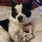 Profile Picture of Alicia Granell (@Alicia-Granell) on Facebook