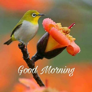 Profile Picture of Fatt Pang (@fatt.pang.9) on Facebook