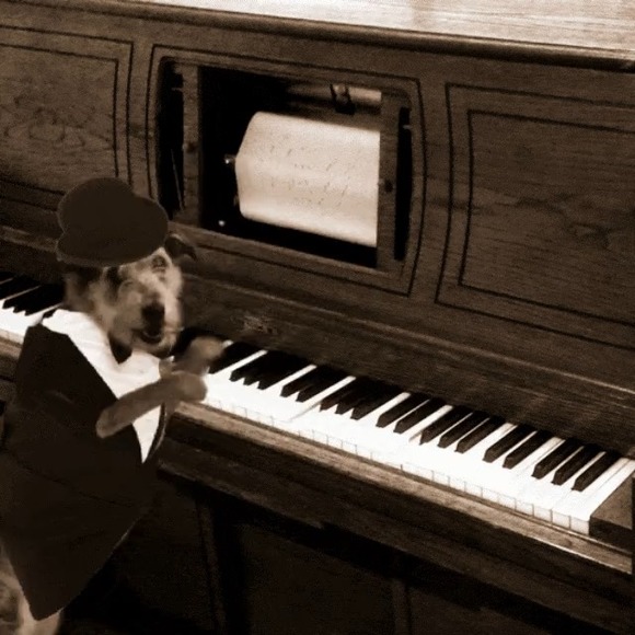 Profile Picture of Fan Zhang (@fan_zhang) on Poshmark