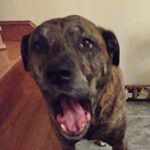 Profile Picture of Paul (@paul.webby) on Instagram