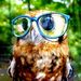 Profile Picture of Jorge Roberto (@JorgeRoberto412) on Pinterest