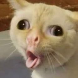 Profile Picture of Roy Tate (@76tater) on Twitter